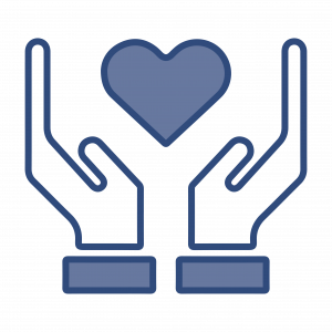 enjoyment, singular security enjoyment, about singular security, singular security values, cyber security services